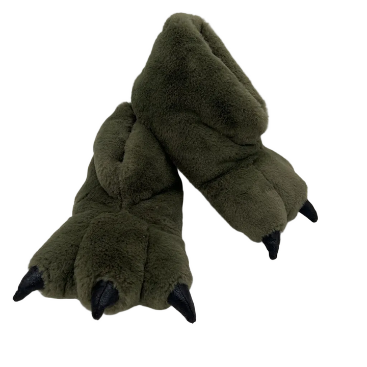 Dinosaur Slippers
