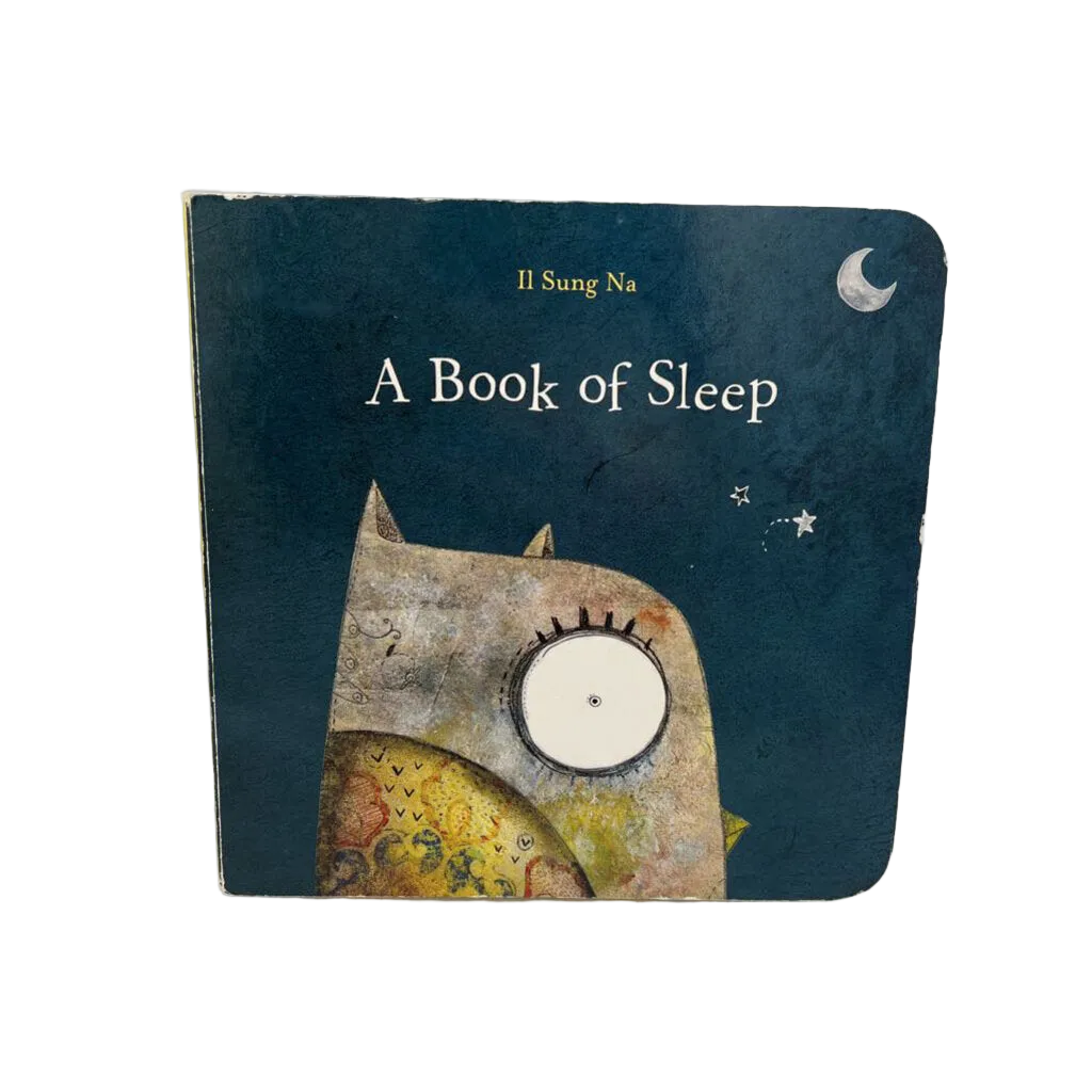 A Book of Sleep