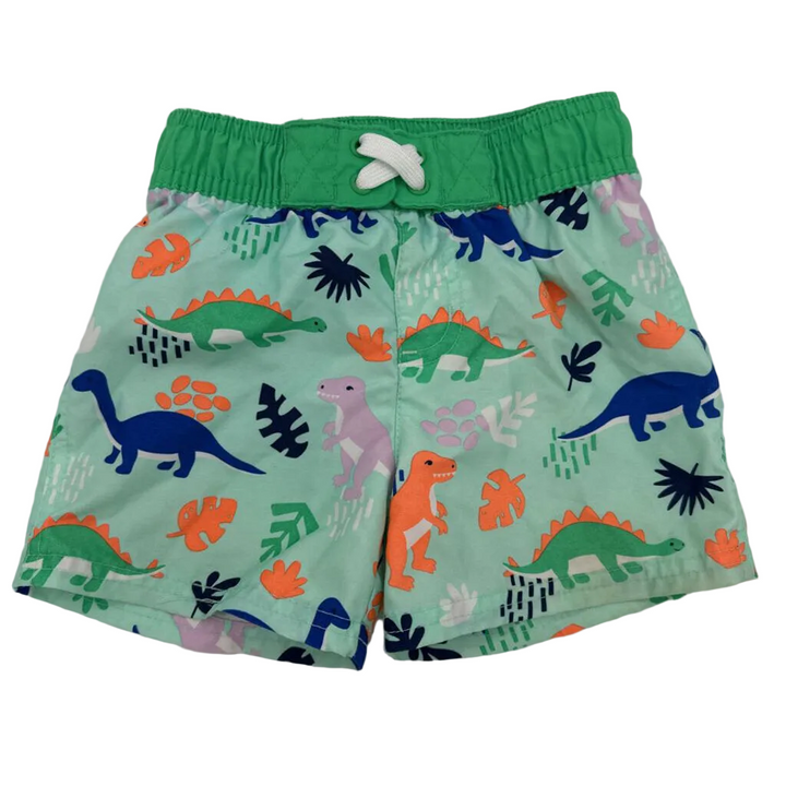 Swim Trunks / Dinosaurs