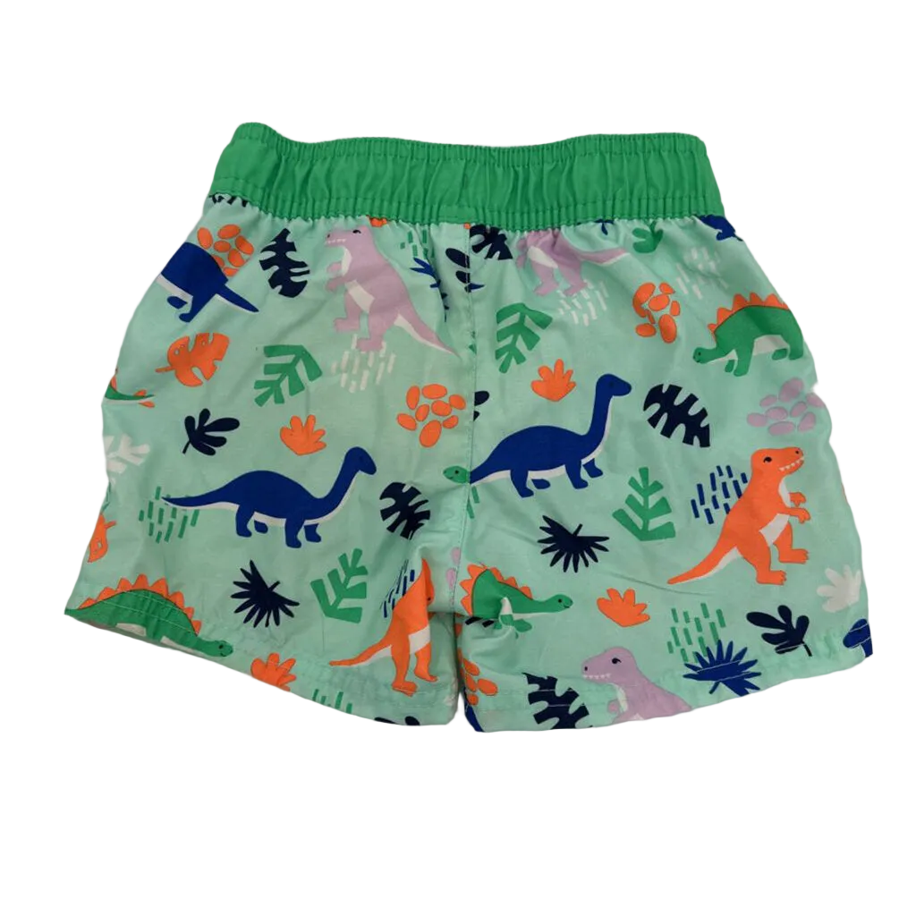 Swim Trunks / Dinosaurs