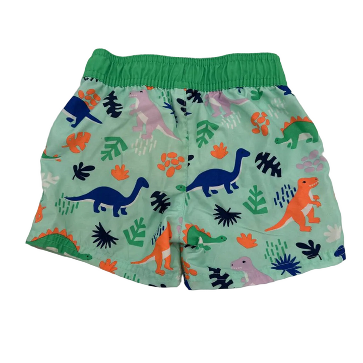 Swim Trunks / Dinosaurs