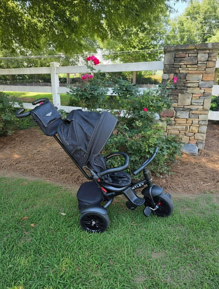 Trike Centennial 6-in-1 Convertible Stroller