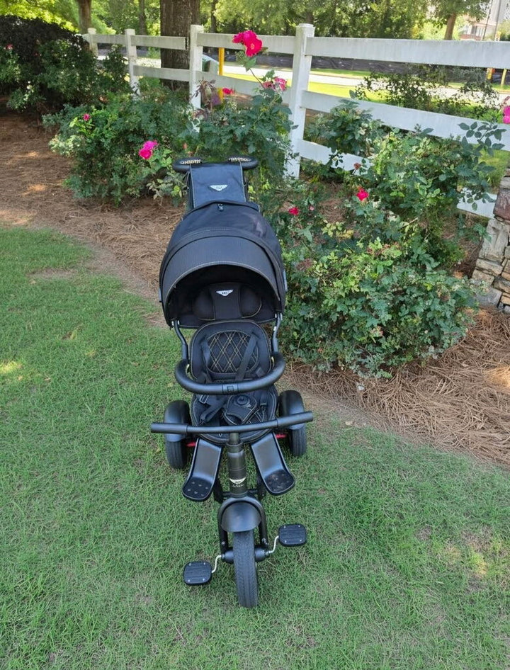 Trike Centennial 6-in-1 Convertible Stroller