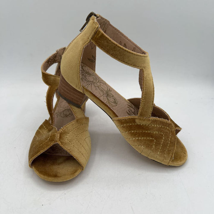 Platform Wedge / Ankle Strap