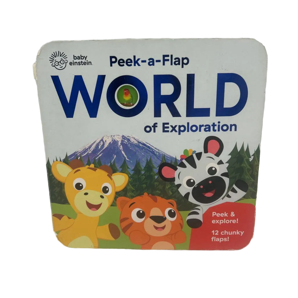 Baby Einstein Peek-a-Flap World of Exploration