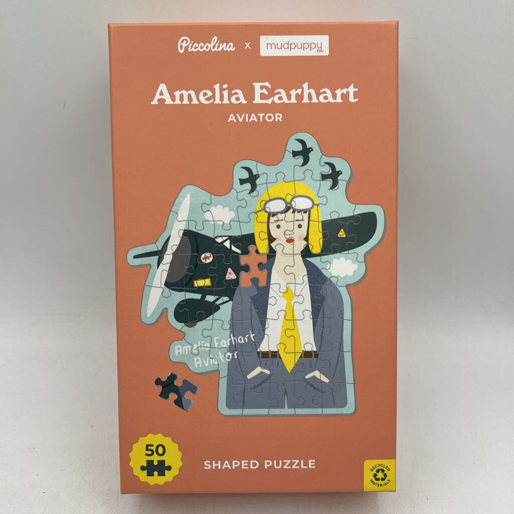 Amelia Earhart Puzzle