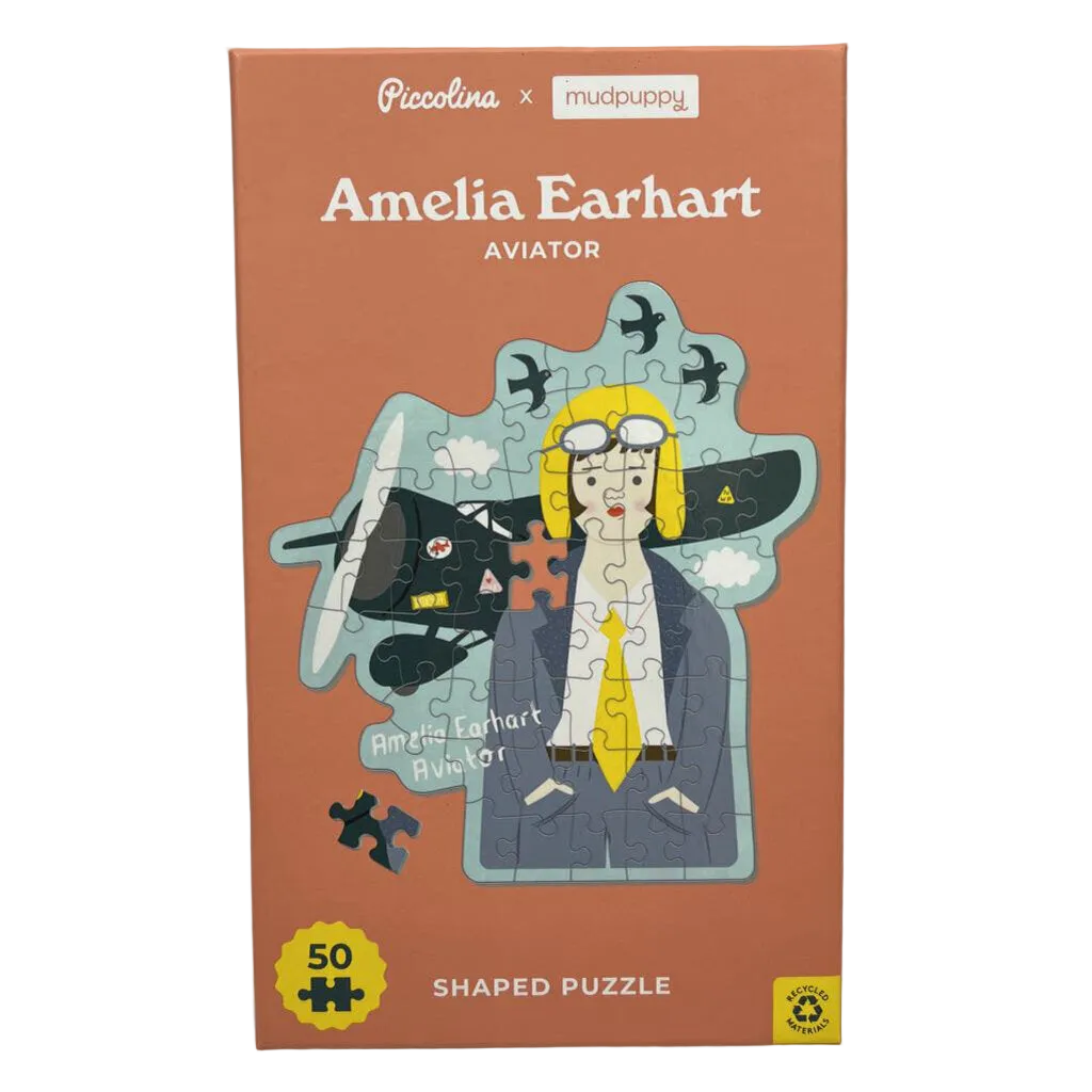 Amelia Earhart Puzzle