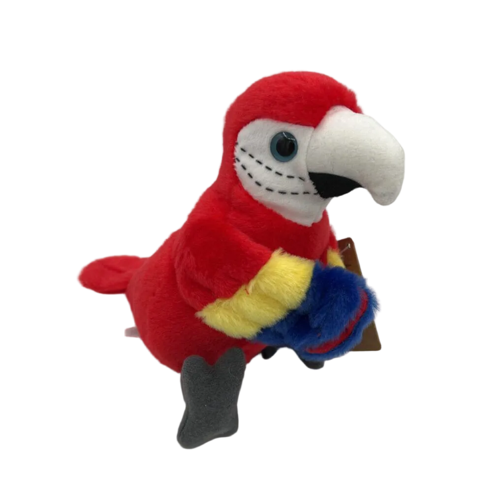 Macaw Parrot