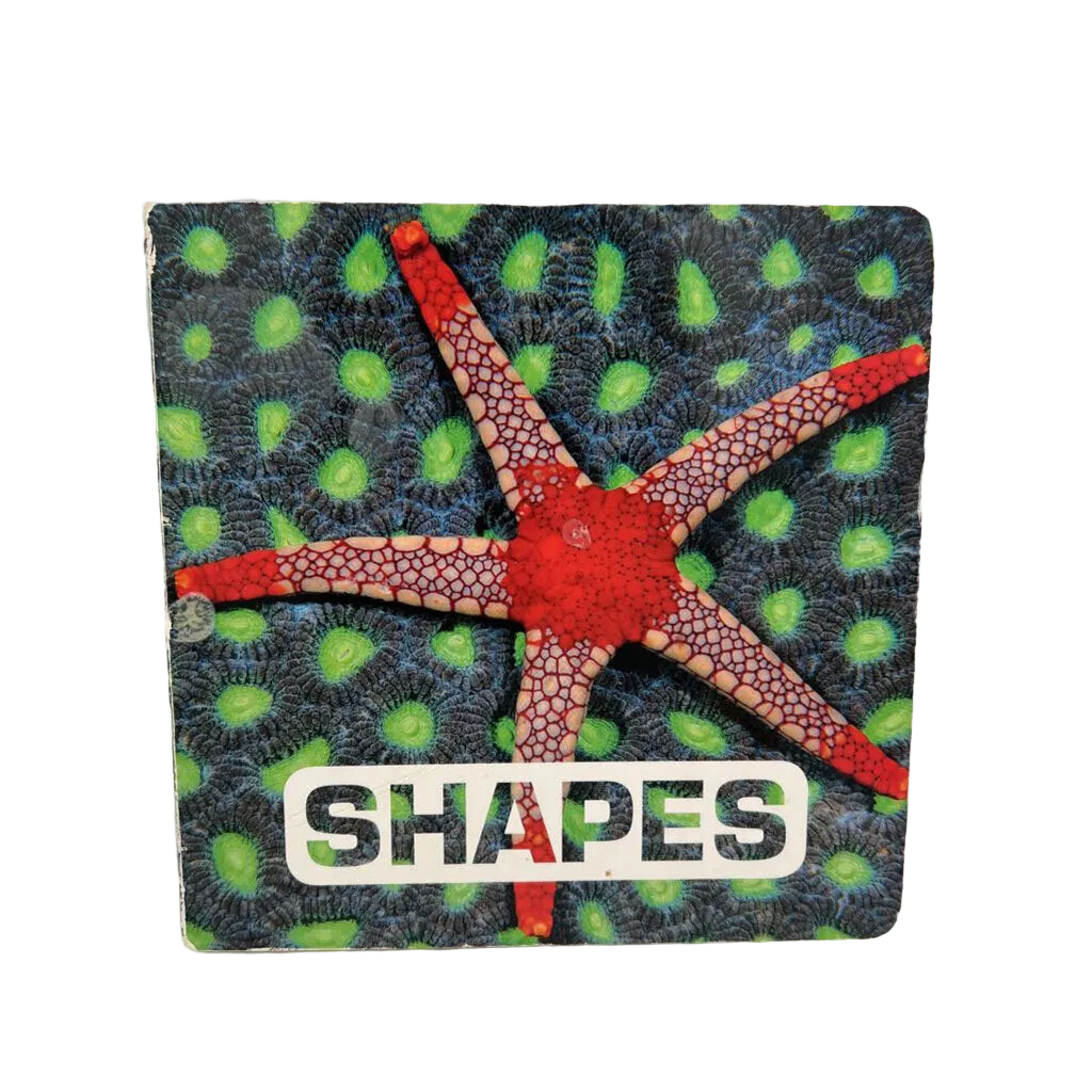 Shapes