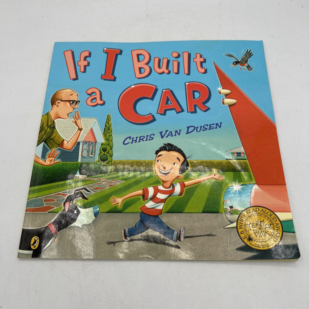 If I Built a Car