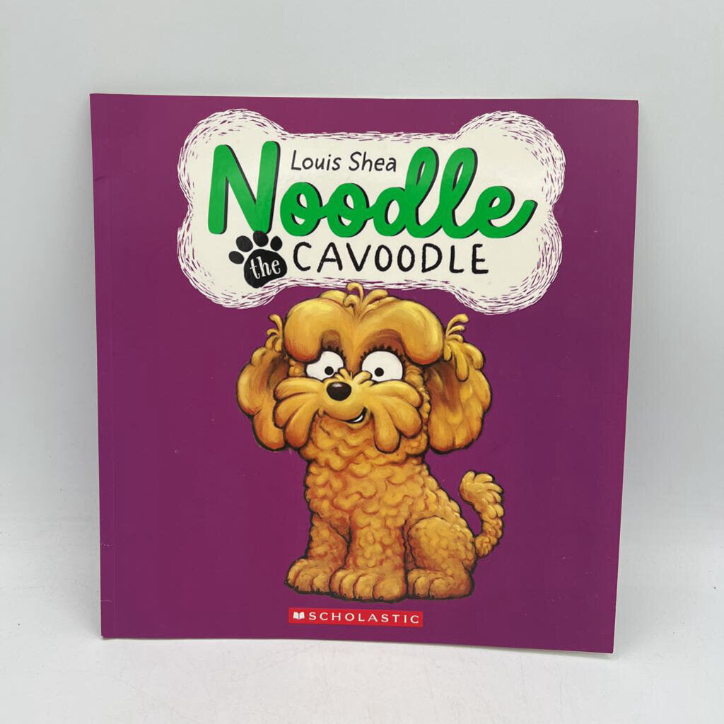 Noodle the Cavoodle