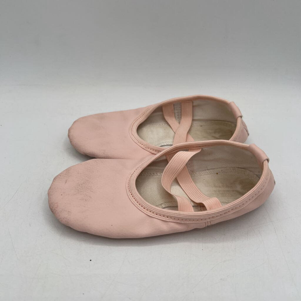 Ballet Slippers