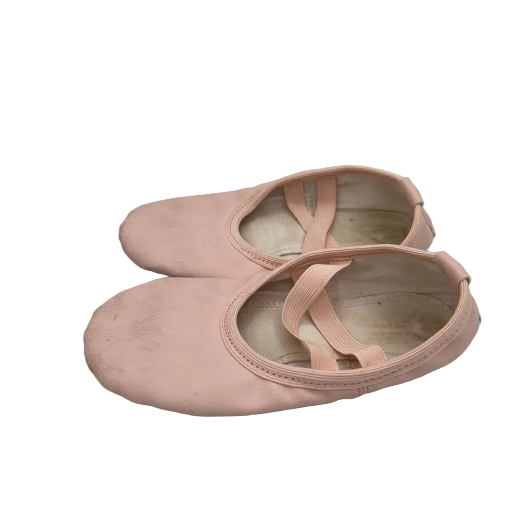 Ballet Slippers