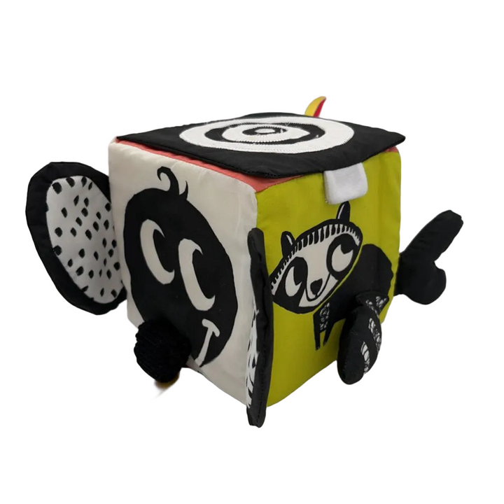 Wimmer-Ferguson Learning Cube