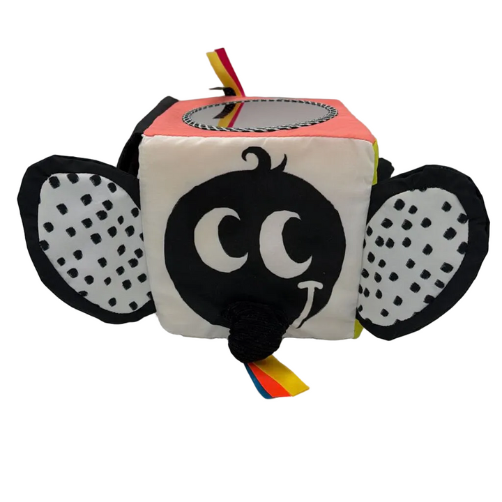 Wimmer-Ferguson Learning Cube