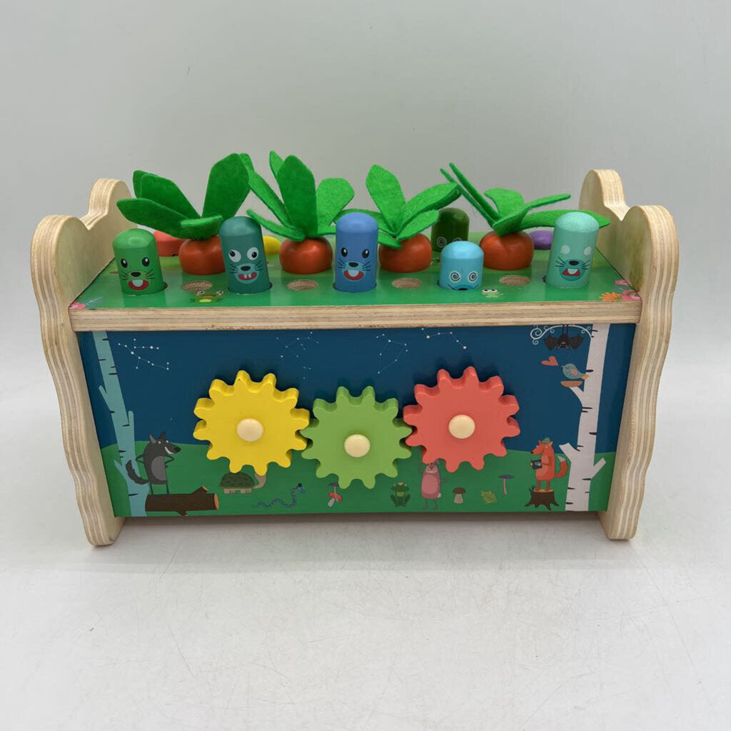 6-in-1 Wood Toy/Missing Mallets