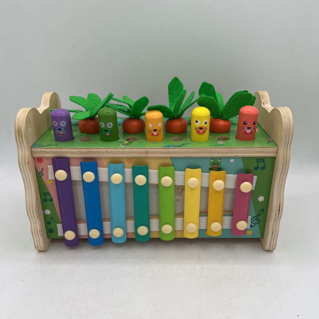 6-in-1 Wood Toy/Missing Mallets