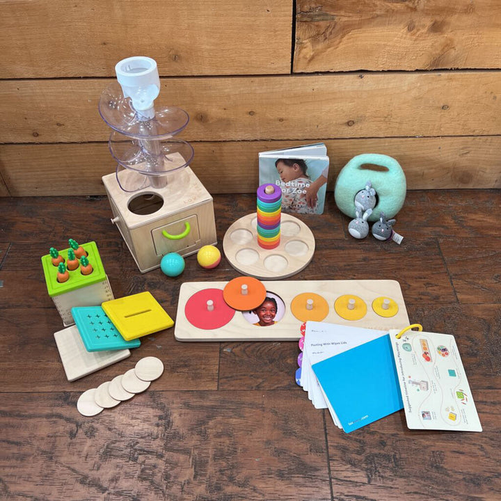 The Babbler Play Kit