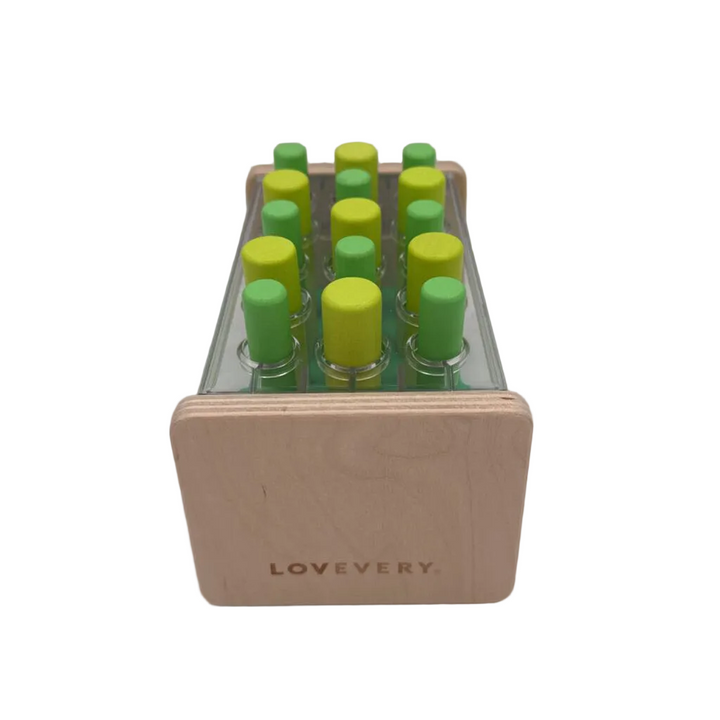 The Enthusiast Sort & Stack Peg Puzzle
