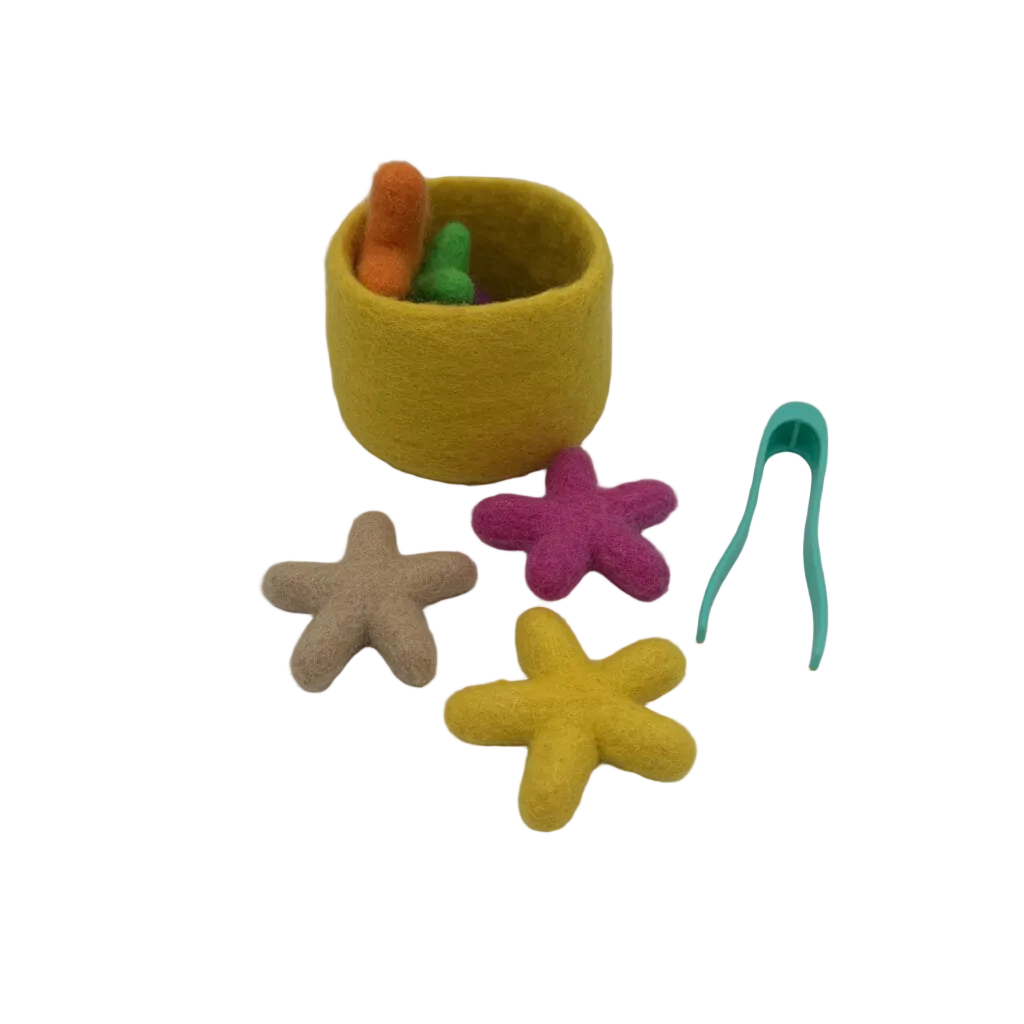 Felt Starfish & Nesting Cup & Tweezers