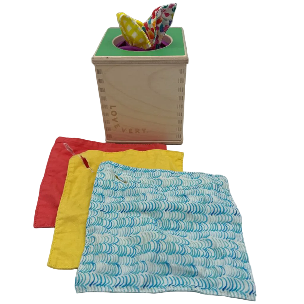 Pull Tissue Box Toy