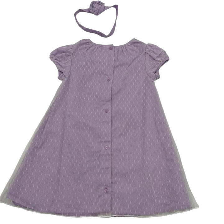 SS Dress w Net Overlay