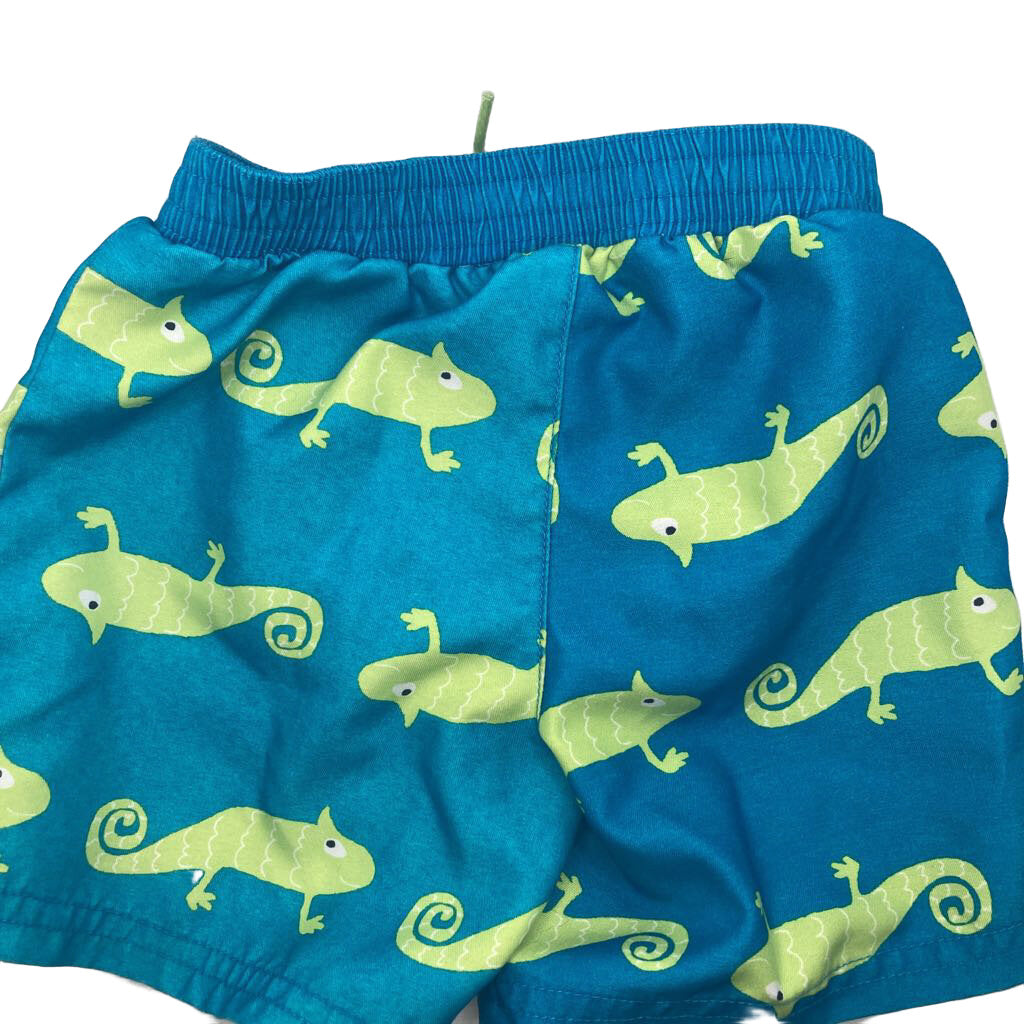 Swim Trunks / Comilions