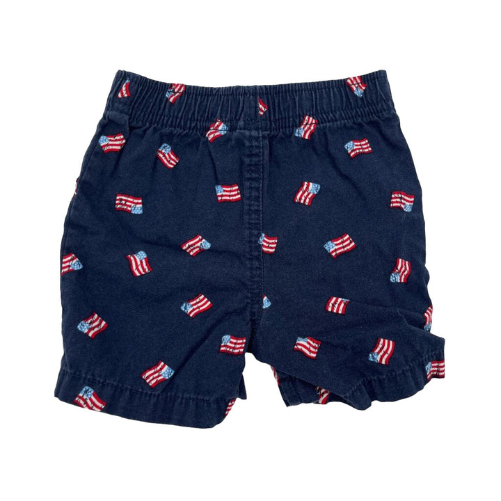 Elastic Waist Shorts / Flags