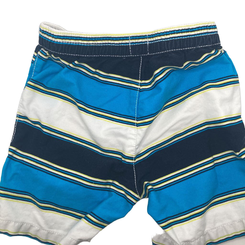 Swim Trunks Stripe