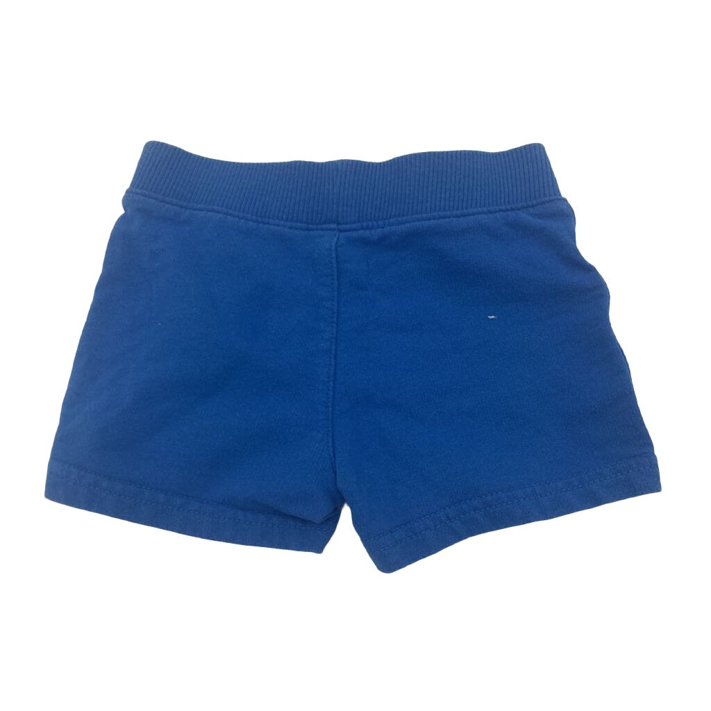 Elastic Waist Cotton Shorts