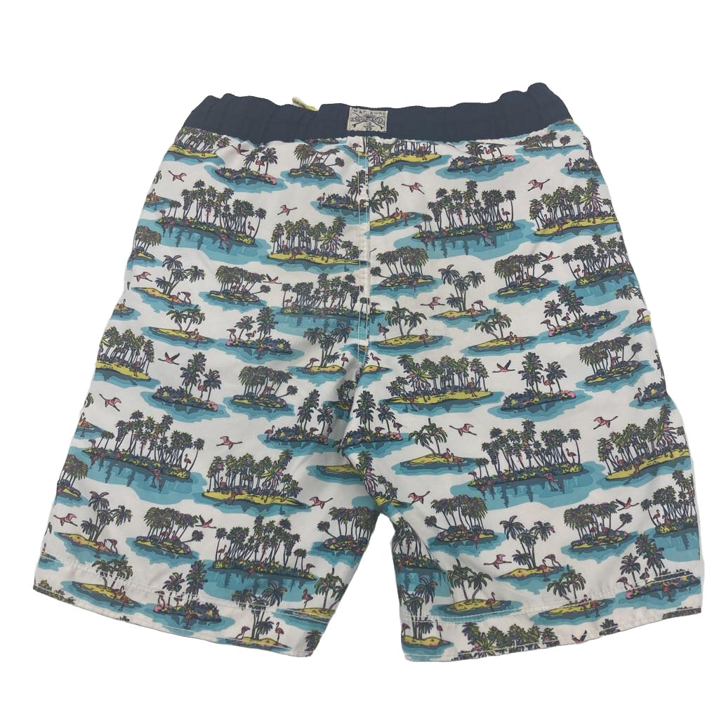 Swim Trunks / Beach Islands