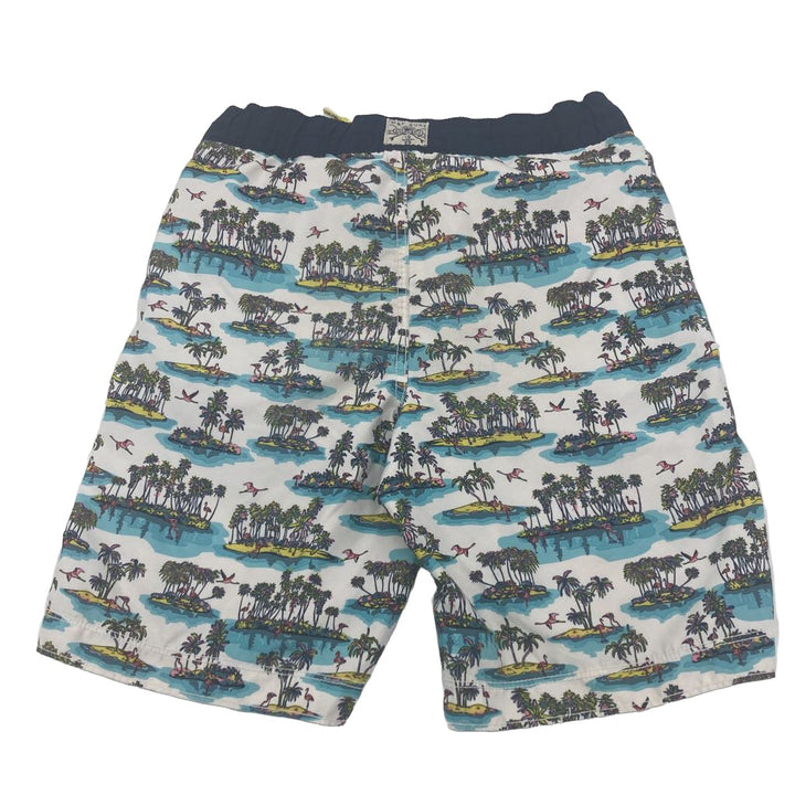 Swim Trunks / Beach Islands
