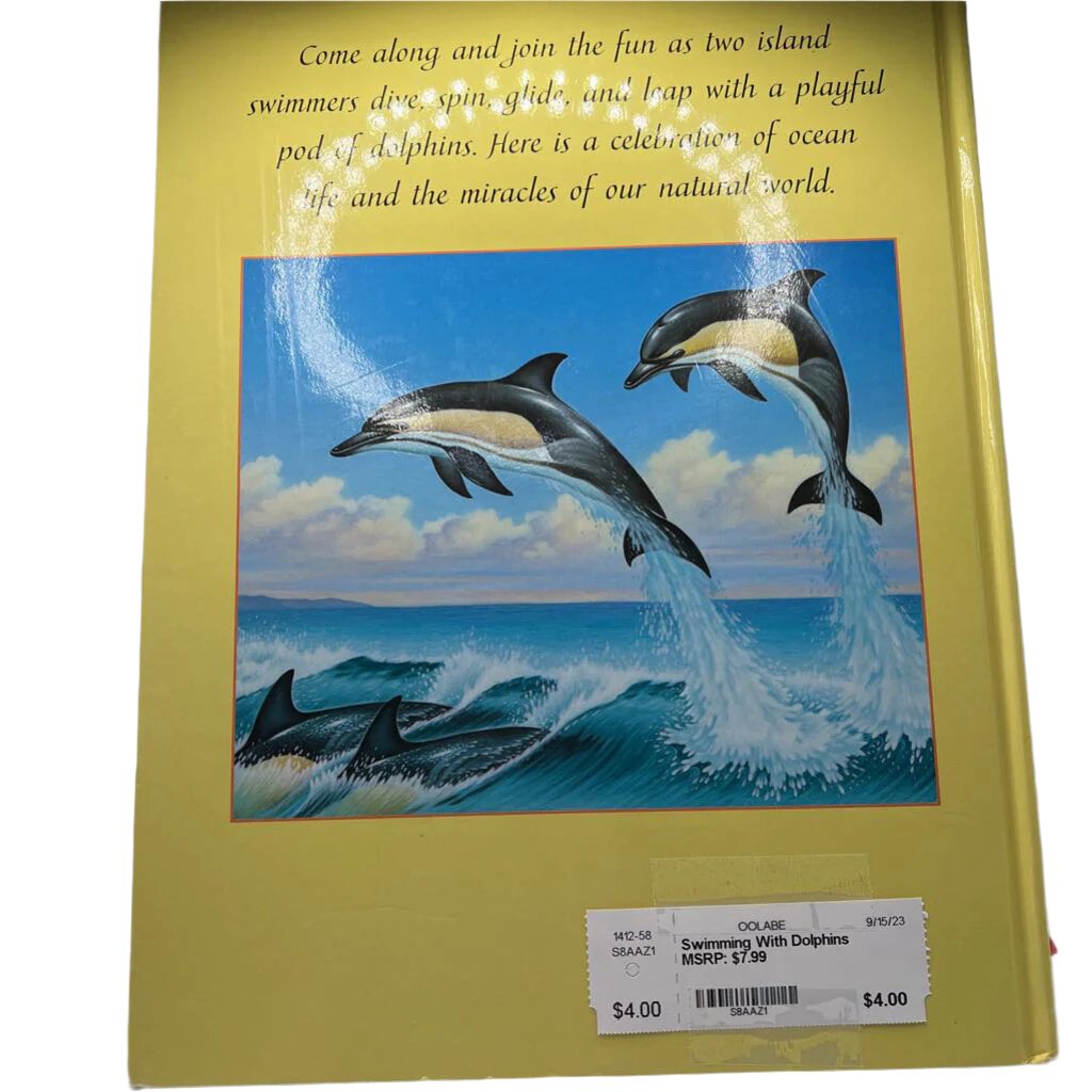 Swimming With Dolphins