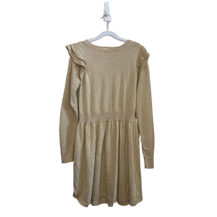 LS Glittery Holiday Dress
