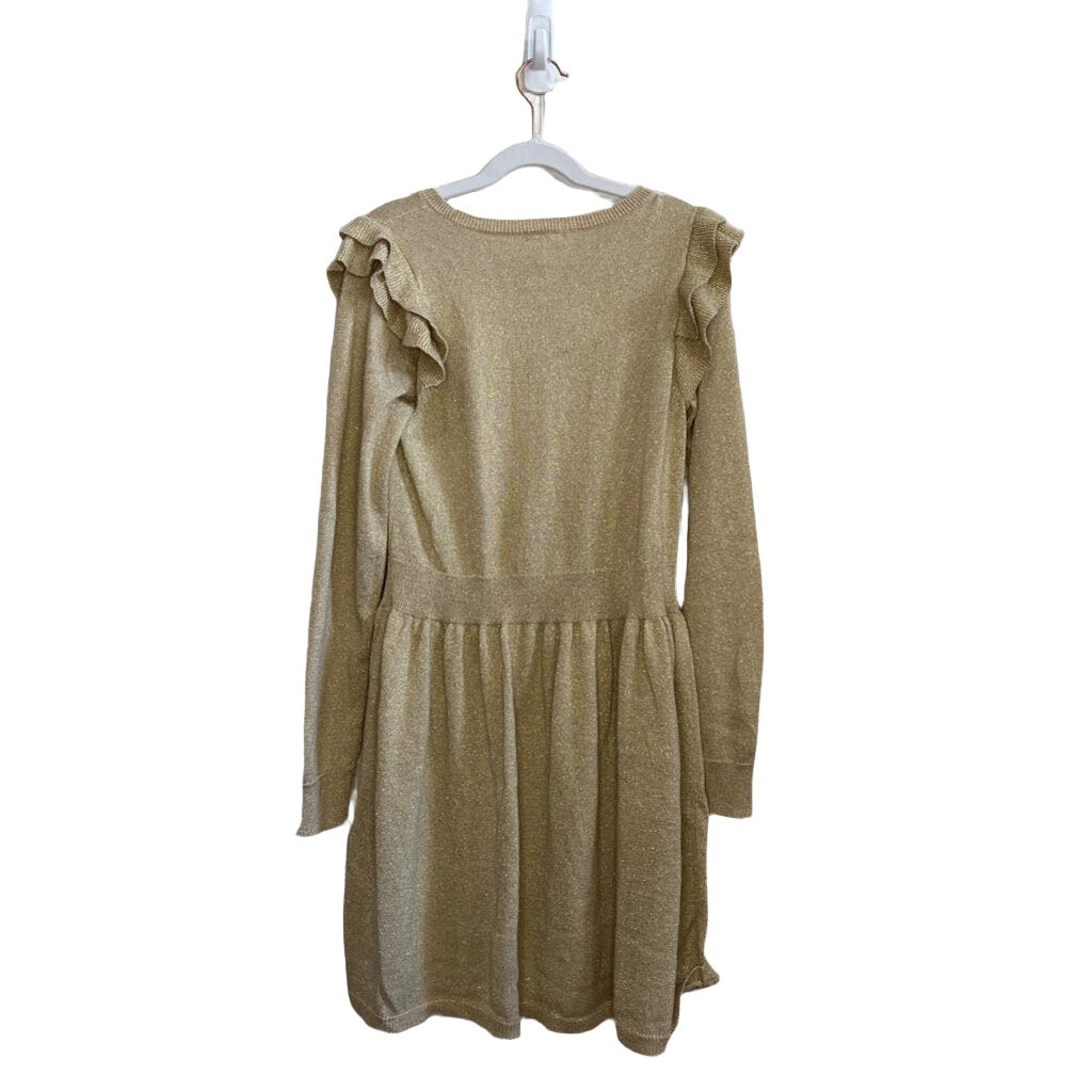 LS Glittery Holiday Dress