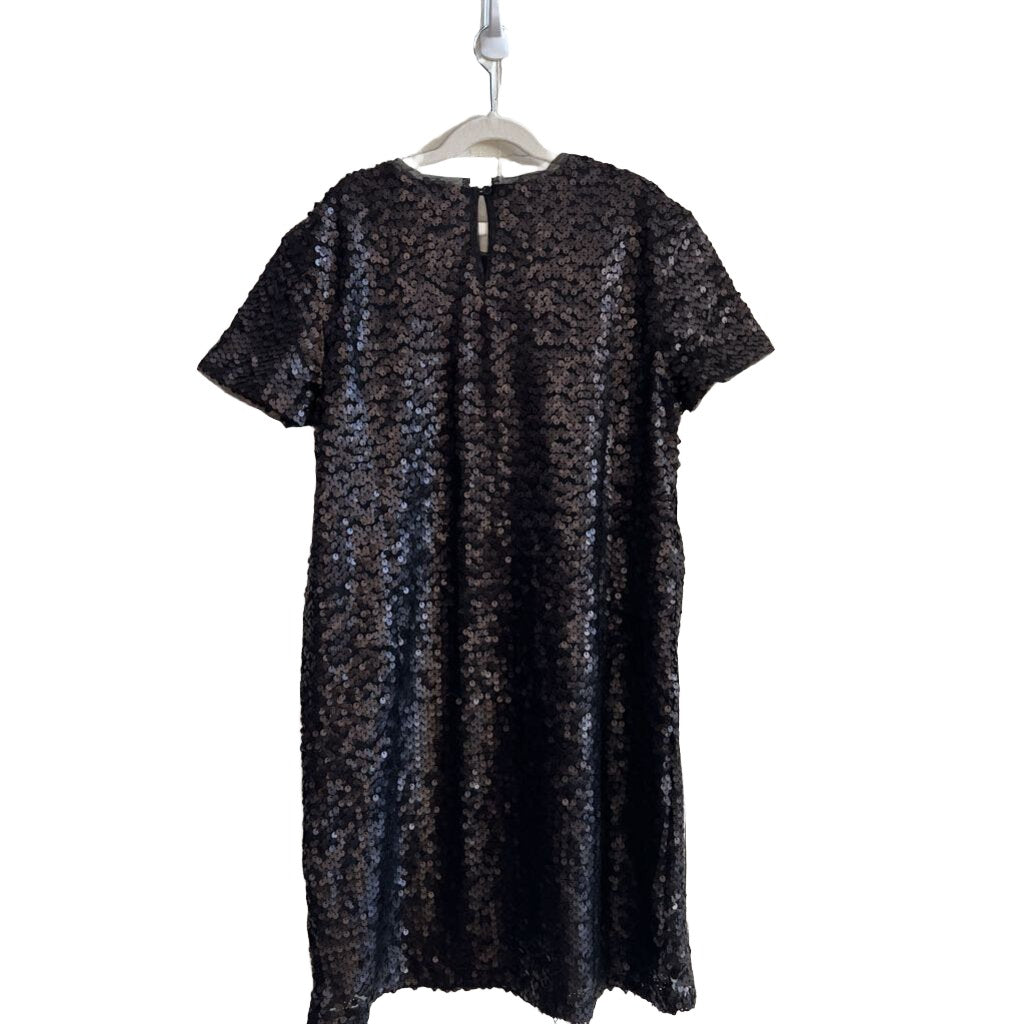 SS Matte Sequin Dress