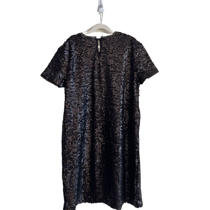 SS Matte Sequin Dress